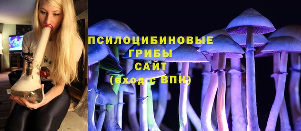 mdpv Михайловск