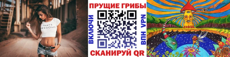 Псилоцибиновые грибы Cubensis  магазин    Феодосия 